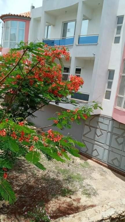 Maison Residencial Casa De Ferias Pedra Badejo  Ngoại thất bức ảnh